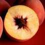 В Евпатории три дня будут объедаться персиками