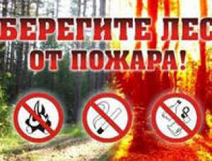 Крымские правоохранители активизируют действия по защите лесов от пожаров