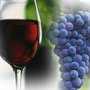 В Крыму пройдёт конкурс на лучшую виноградную гроздь