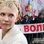 Тимошенко – безальтернативный кандидат в президенты Украины от оппозиции, – Стець