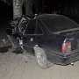На востоке Крыма в столкновении машины с деревом погибли двое