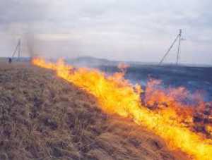 В Крыму горит сухая трава
