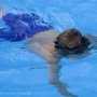 В бассейне евпаторийского пансионата чуть не утонул ребенок