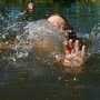 Ребенок захлебнулся в крымском озере и впал в кому