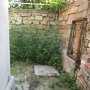 Во дворе дома егеря в Евпатории нашли двухметровые кусты конопли