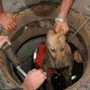 Из канализационного люка в Феодосии достали большую собаку