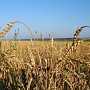 На севере Крыма едва не застроили 30 га сельхозземли