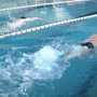 Пловцы-инвалиды из Севастополя завоевали десять медалей на Чемпионате мира