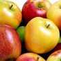 Средняя цена на яблоки в Крыму составляет 7 гривен.