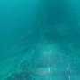 Подводники исследовали затонувшую подлодку «Щ — 216»