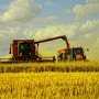В Крыму поздние зерновые убирают с 32 тысяч га