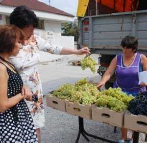 В Евпатории начались «Дни винограда»