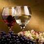 В Судаке пройдёт ярмарка винограда и вина