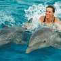 В крымском дельфинарии отрицают, что их дельфин покусал женщину. Усматривают происки конкурентов