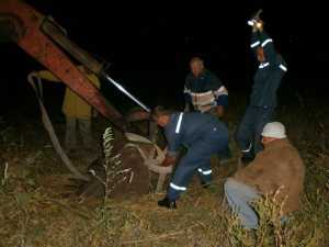 В Нижнегорском районе спасатели трактором доставали корову, попавшую в колодец