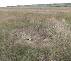Власти опровергли информацию о раскопках на месте расстрела евреев под Симферополем