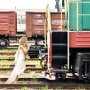 На вокзале в Столице Крыма пьяную женщину сбил поезд