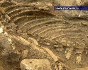 Могильник у села Левадки продолжает притягивать внимание крымских археологов