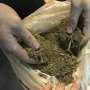 В Джанкое у женщины нашли банку марихуаны
