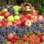 В Крыму собрано около 30 тыс. тонн винограда и фруктов