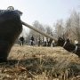 В Столице Крыма начинается месячник по благоустройству