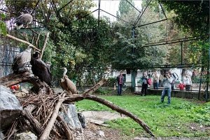 Крымские блоггеры проверили «вторую жизнь» спасенных пернатых в Симферопольском зооуголке