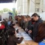 На ярмарку вакансий в Столице Крыма пришло 11 тыс. человек