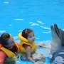В Алуште открыли Центр дельфинотерапии