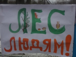 Суд поставил точку в деле о застройке леса в Столице Крыма
