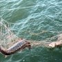 На севере Крыма поймали браконьера с рыбой