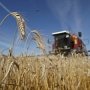 В Крыму выявили 2,1 тыс. га незаконно используемых сельхозземель