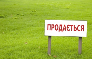 Продажа земли принесла в бюджеты Крыма 35 миллионов