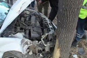 В Симферополе водитель на «Мазде» влетел в дерево