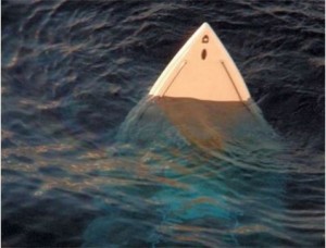 В Черноморском районе перевернулась лодка — один человек погиб
