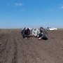 Дожди создали уникально благоприятные условия для сева озимых в Крыму