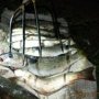 Крымский браконьер вилами набил рыбы на 7 тыс. гривен