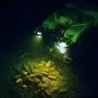 Центр подводной археологии пополнился артефактами