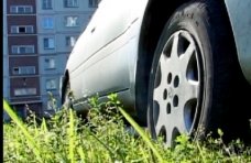 В Столице Крыма взялись за автомобилистов, какие паркуются на газонах