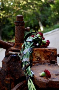 В Феодосии провели первую экскурсию к останкам легендарной «Щуки»