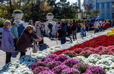 В Севастополе впервые прошёл бал хризантем