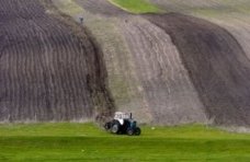 В Кировском районе засеяли озимыми 5 тыс. га