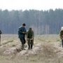 Осенью в Крыму высадят 900 га леса