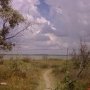 В субботу возле озера Мойнаки в Евпатории высадят пять тысяч саженцев
