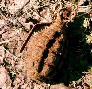 В ялтинском лесу грибники нашли гранату