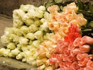 Суд постановил забрать землю у цветочного рынка в Севастополе