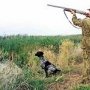 За нарушение правил охоты в Крыму оштрафованы 95 человек