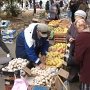 Сотрудники инспекции по торговле Симферопольского городского совета ликвидировали нарушающий закон рынок