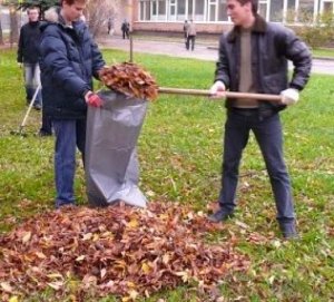 Власти Ялты распорядились провести городской субботник