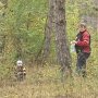После затяжных дождей в крымских лесах – грибной бум