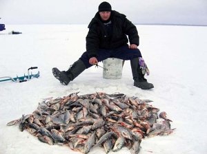 В Крыму определили запрещенные для ловли рыбы места: список